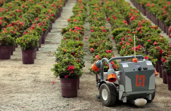 Robot for care of seedlings