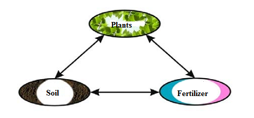 Scheme of UAN influence on soil and plants