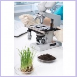 Research of soil quality and crop production