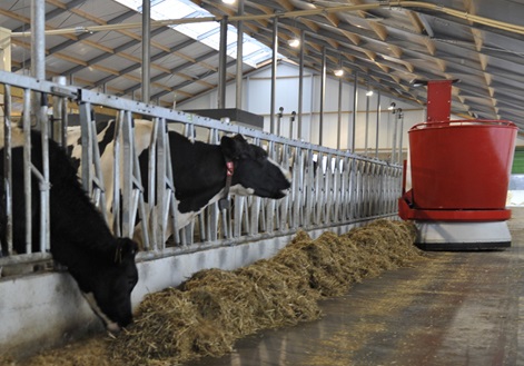 Точні технології в тваринництві - робот насипає корм коровам