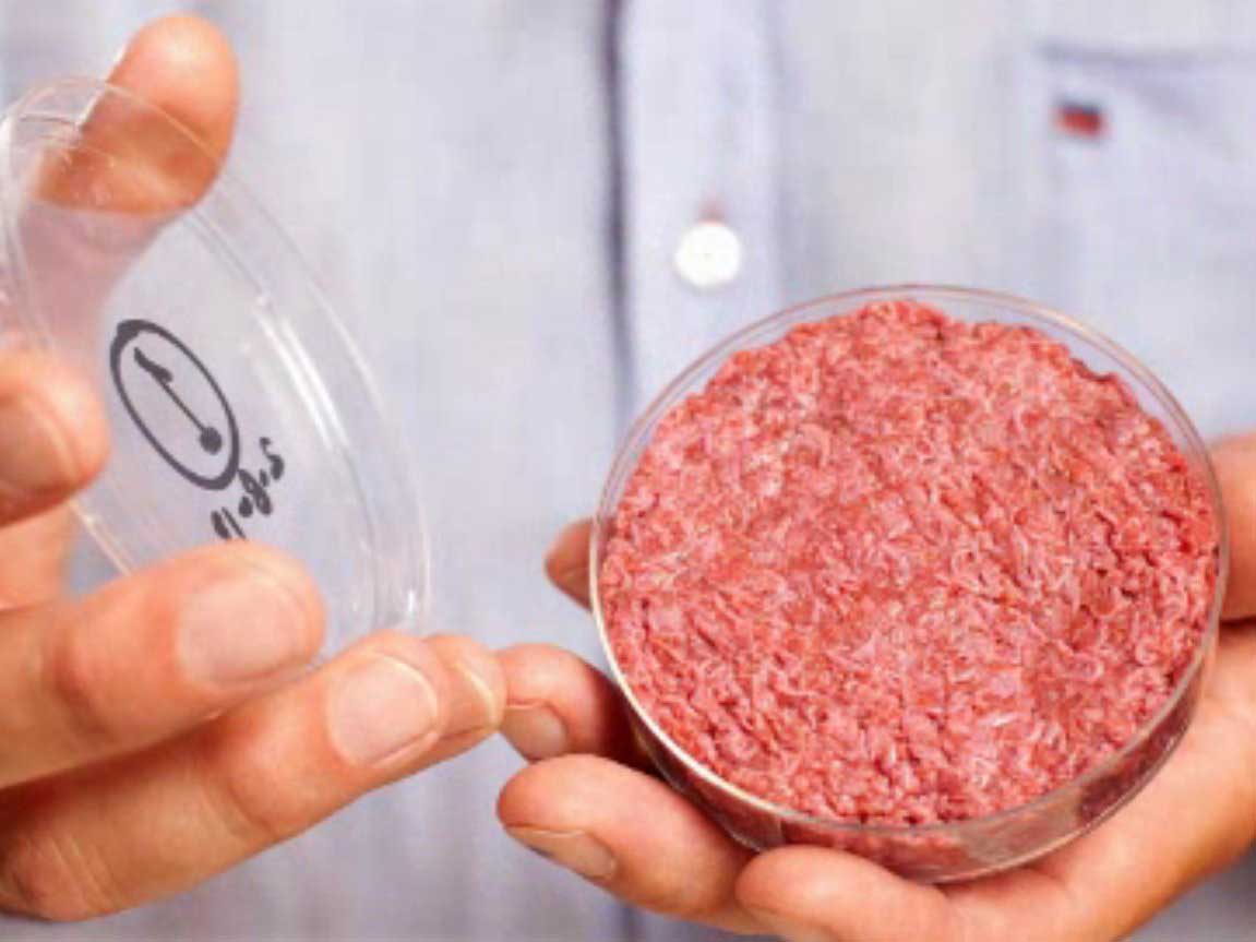 мясо in vitro